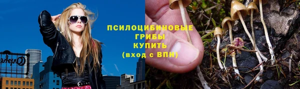 сатива Алзамай